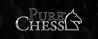 Официальный логотип игры