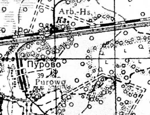План деревни Пурово. 1941 год