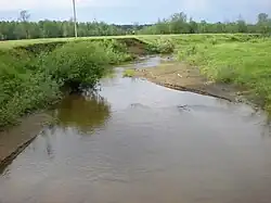 Пыжман в Сосновке