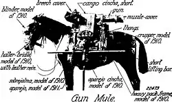 Мул, снаряжённый 75-мм гаубицей образца 1916 года (2,95-дюймовой горной пушкой QF) вооружённых сил США