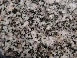 Ксеноморфные кристаллы кварца (серые) в граните