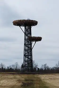 Смотровая башня Песапуу