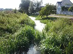 Река Омеляник в Луцке