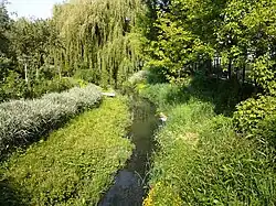 Сапалаевка в Луцке, вид с улицы Ярощука.