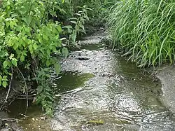 Ручей Вита в селе Хотов