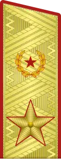 Парадный погон генерала армии (1974-1991)