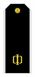 Погон матроса ВМФ РФ (1994—2011).