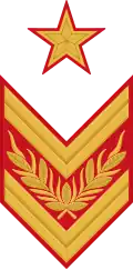 петлица ркм 1936