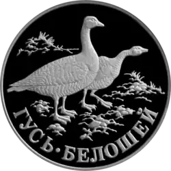 Гусь-белошей. Монета Банка России — Серия: «Красная книга», серебро, 1 рубль, 1998 год