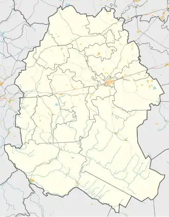 Большие Озертицы (Волосовский район)