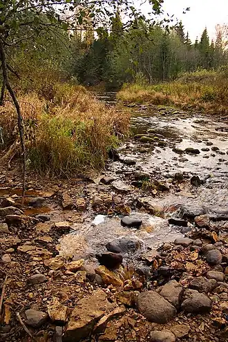 Рагуша уходит под землю (в понор)
