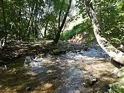 Раменка, 2018 год