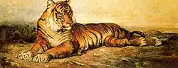 Тигр