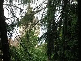 Бергфрид замка со стороны леса