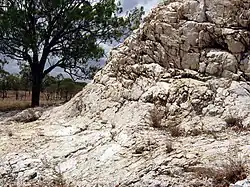 Рейвенсвуд, «Уайт-Блоу»