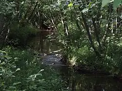 Река Тушемля