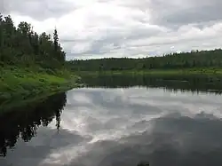 река Бахта в июле