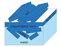 внутренняя структура тороса.