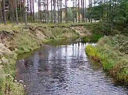 Нижнее течение Ринды осенью 2006 года.