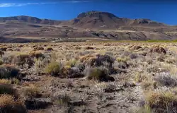 Природа берегов Рио-Негро, Аргентина