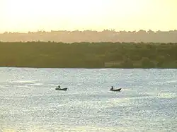 Потенжи в низовьях