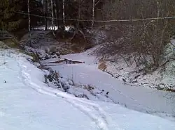 Тирлян зимой