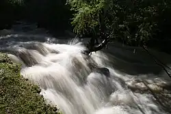 Река Веди весной 2007 года