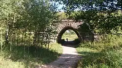 Осушенное русло реки Волма.