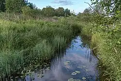 Река в урочище Хватово Ярославского района.