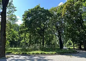 Вид на центральную аллею парка