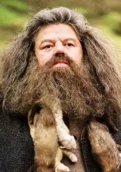 Робби Колтрейн в роли Рубеуса Хагрида