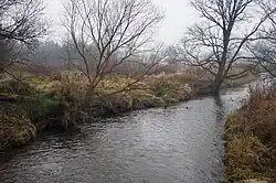 Низовье реки Руда около села Руда-Козельска в январе 2021 года