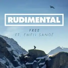 Обложка сингла Rudimental «Free» (2013)