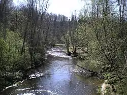 Река весной 2008 года.