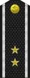 Знаки различия (ВМФ) штатного мичмана.