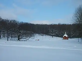 Дубовской парк зимой. Дуб Богдана Хмельницкого (слева)