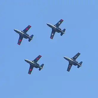 Группа на Saab 105, 2007 год