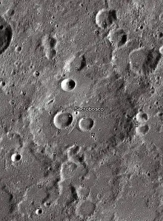 Снимок Девида Кемпбелла.