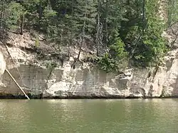 Гнездовье ласточек береговушек