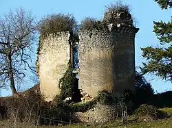 Руины замка Рошморен