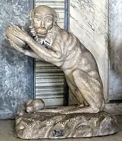 Обезьяна. Музей Пио-Клементино, Ватикан