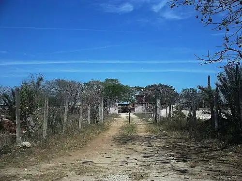 Санта-Анита