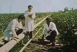 Ф. М. Саттаров (крайний справа)