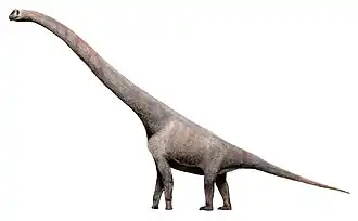 Реконструкция