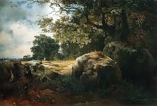 Вид в окрестностях Ораниенбаума