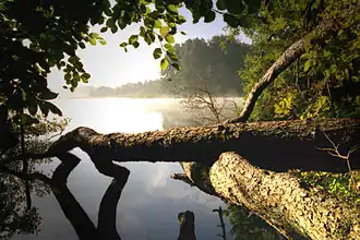 Озеро утром