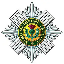 Полковая эмблема — нагрудная звезда ордена Чертополоха