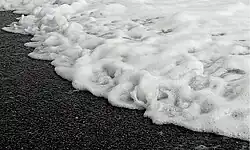 Пена на морском берегу