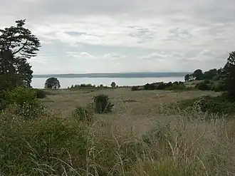 Вид на Пьюджет-Саунд