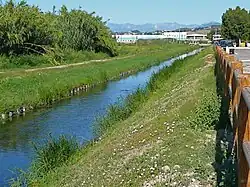 Заповедник Сентина[итал.]